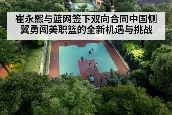 崔永熙与篮网签下双向合同中国侧翼勇闯美职篮的全新机遇与挑战