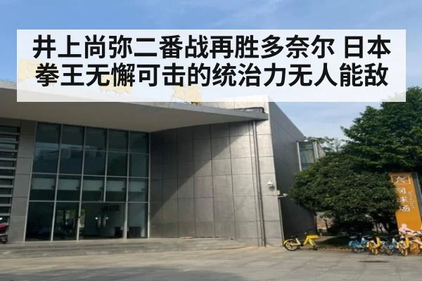 井上尚弥二番战再胜多奈尔 日本拳王无懈可击的统治力无人能敌